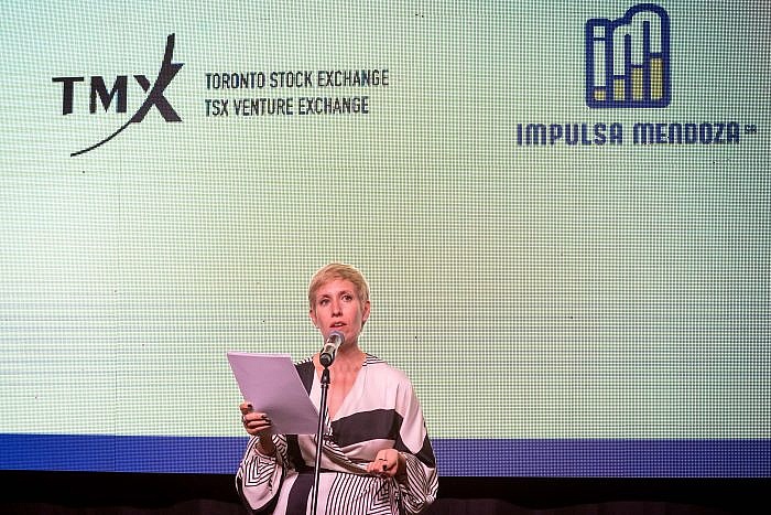 Inversiones mineras en Mendoza