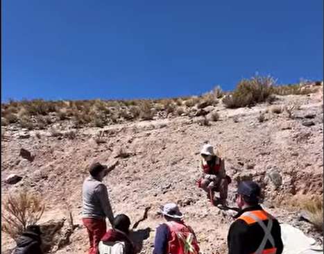 Participantes del curso de volcanología de VOLGRYM junto al equipo del Proyecto Vicuña en la cordillera de San Juan.
