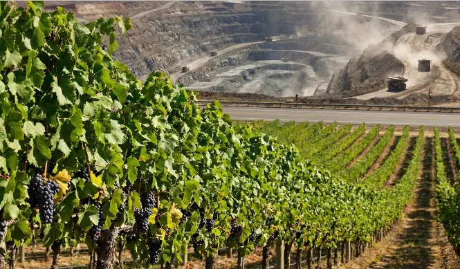 Paisaje de Mendoza con viñedos y montaña de fondo.. Imagen ilustrativa de ACERO Y ROCA