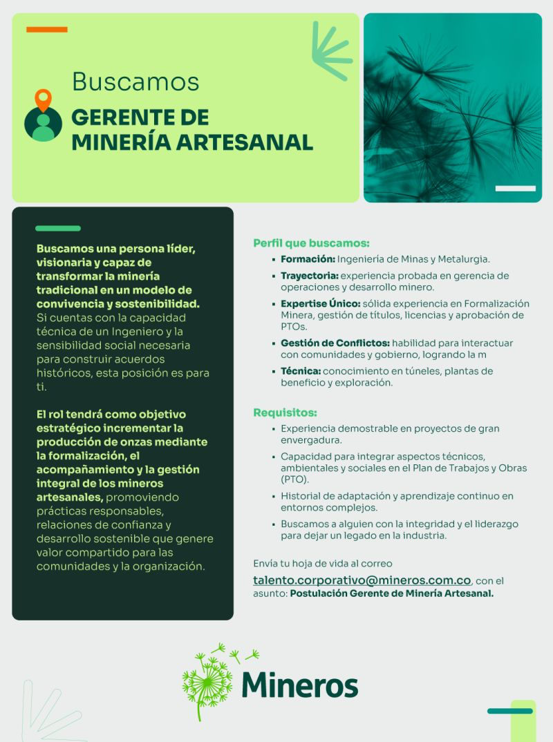 Gerente de Minería Artesanal