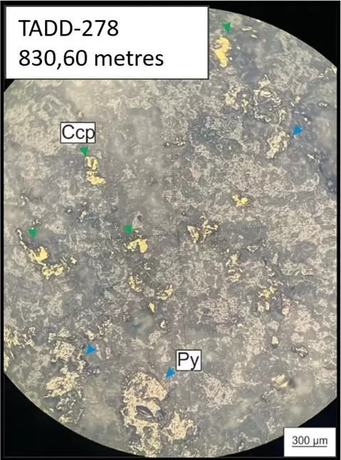 Mapa geológico pozo TADD-278 Proyecto Taguas Orvana Minerals.